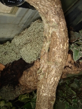 Peat hanging out