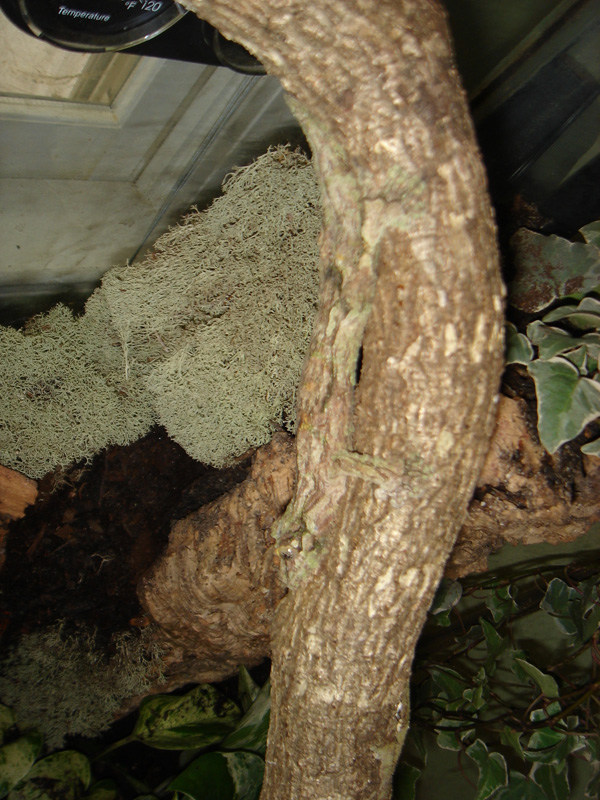 Peat hanging out