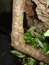 Mildew Hanging out