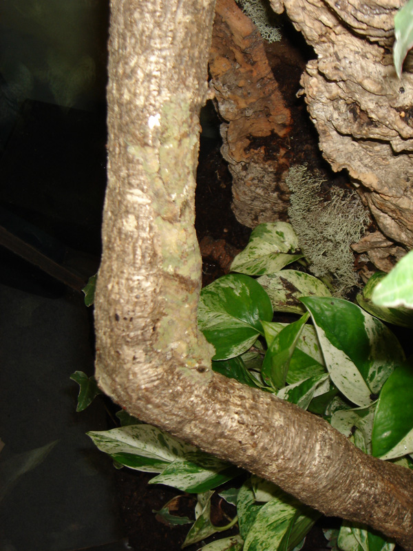 Mildew Hanging out