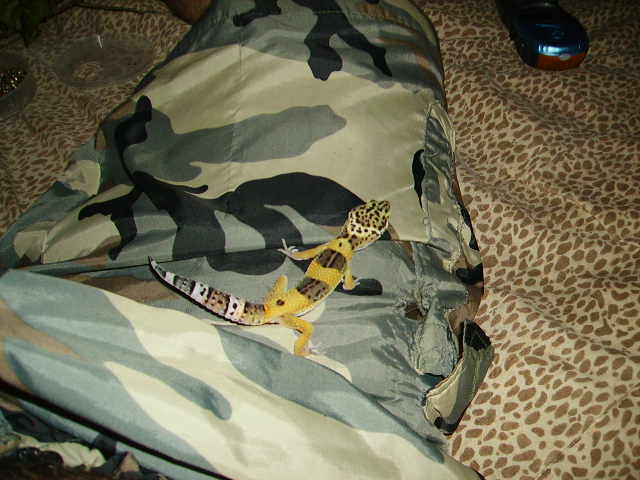 Sticky Walking On My Shorts