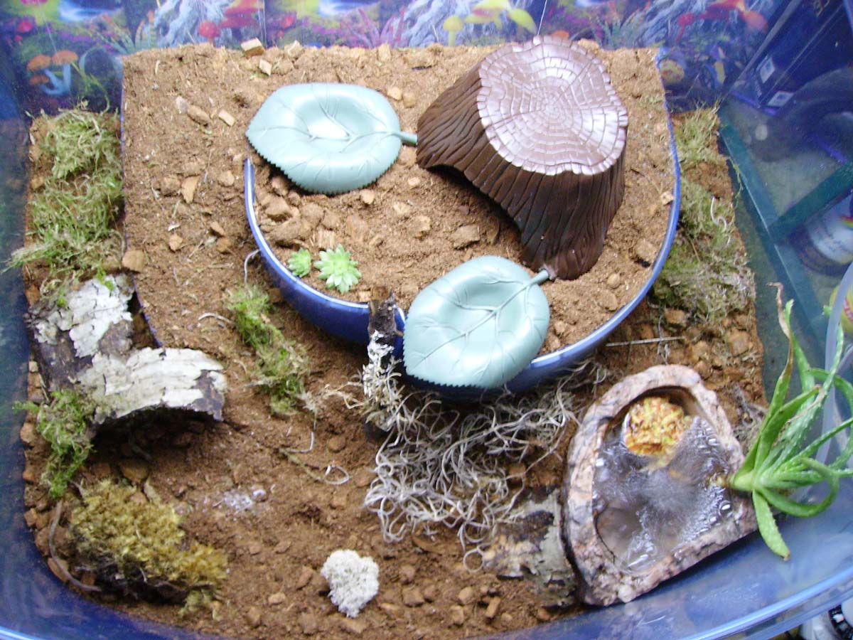 Pacmans Full Habitat