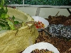 Water Dragon On Water Bowl