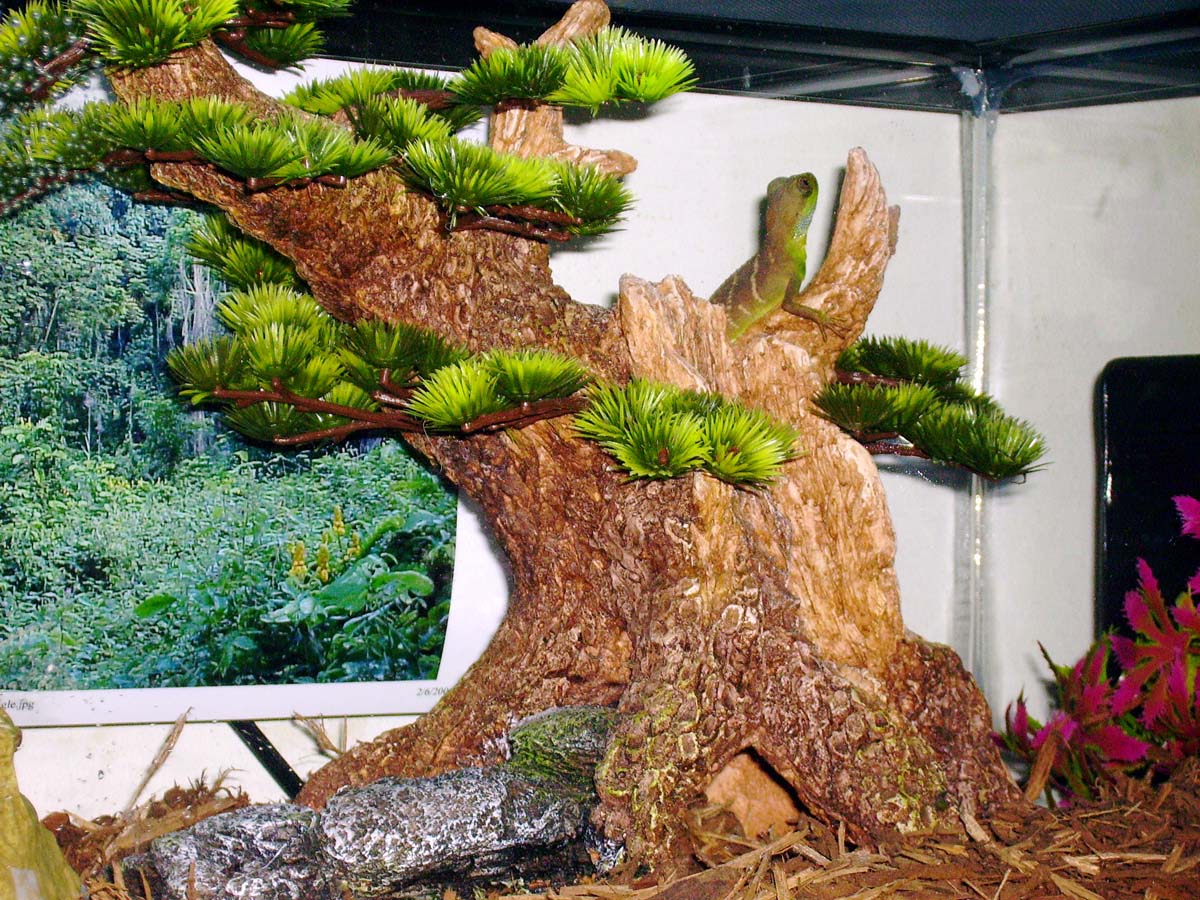 Water Dragon On His Bonsai Tree