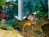 Smoking Toad
