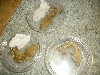 My New Geckos