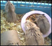 Mom And Babies
