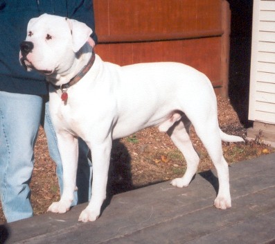 APOC STANDING2