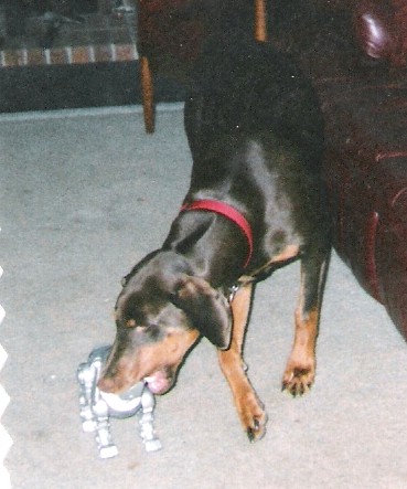 Brandy