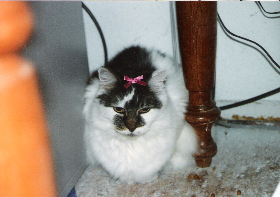 Jade