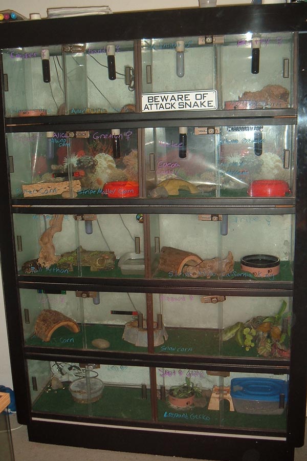 display