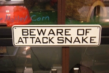 attack snake