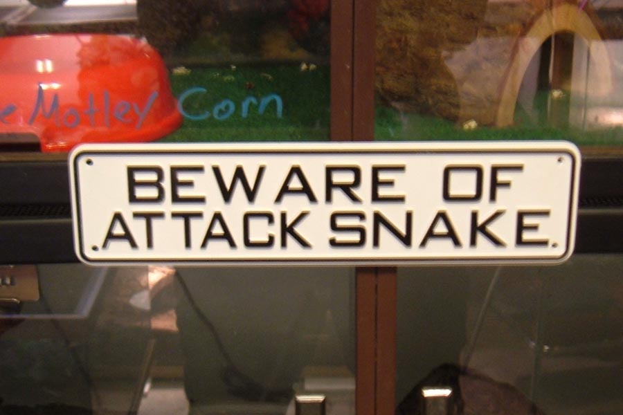 attack snake