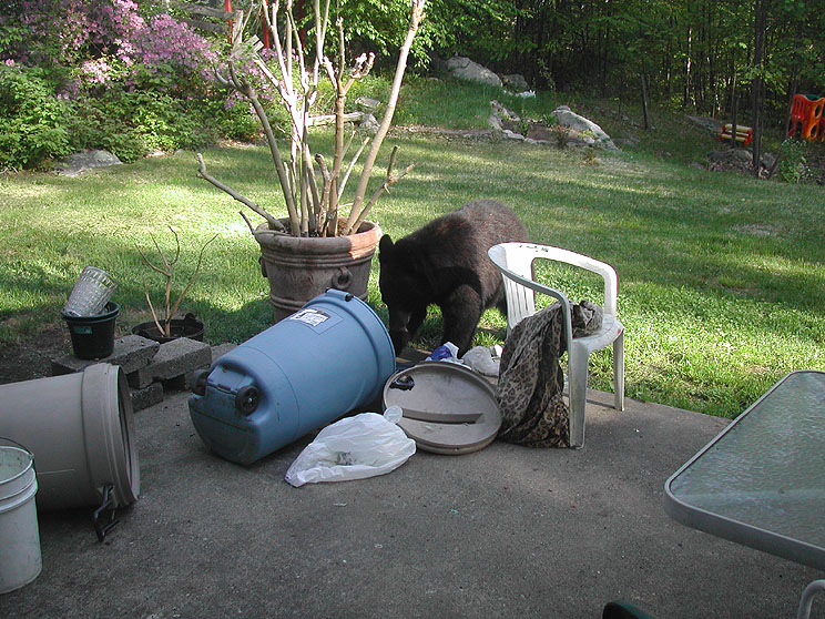 Garbageman 3