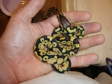 Female Pastel