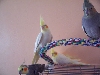 My Luvleez!