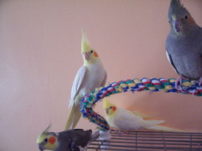 My Luvleez!