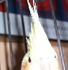 Hi... I'm Bella!!