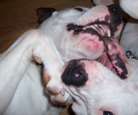 Lou & Brook - Being Silly