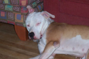 Brooklyn - Passed Out
