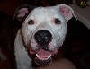 Louie - Happy Boy!!