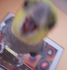 Cranky Mouth
