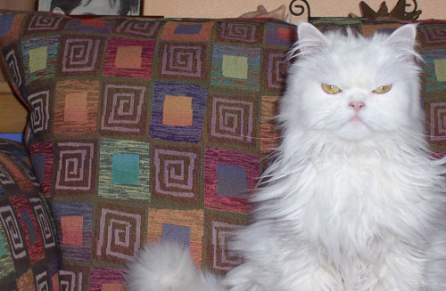 King Simon