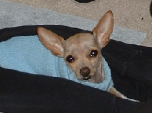 boo2