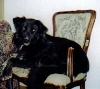 Zoe before Addisons