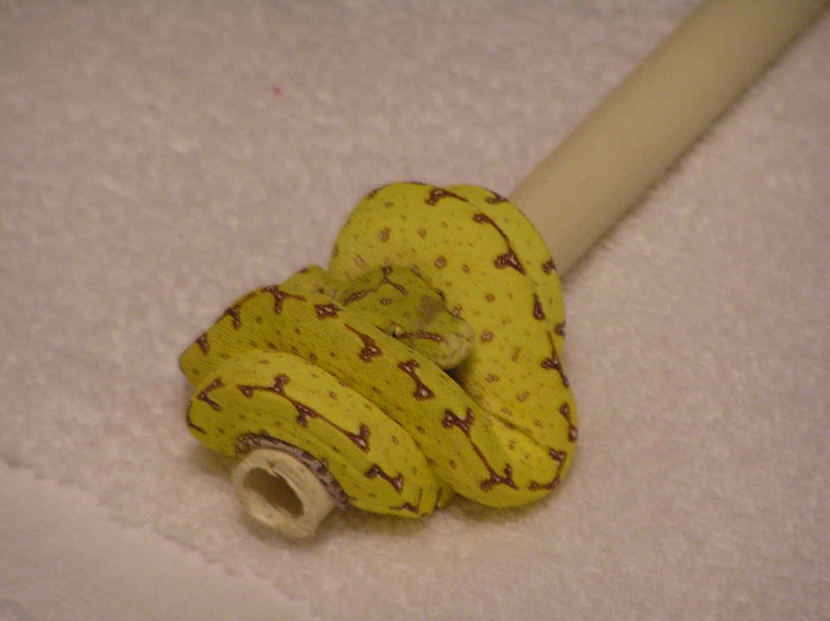 b2