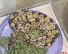 ball python