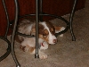 Sleeping