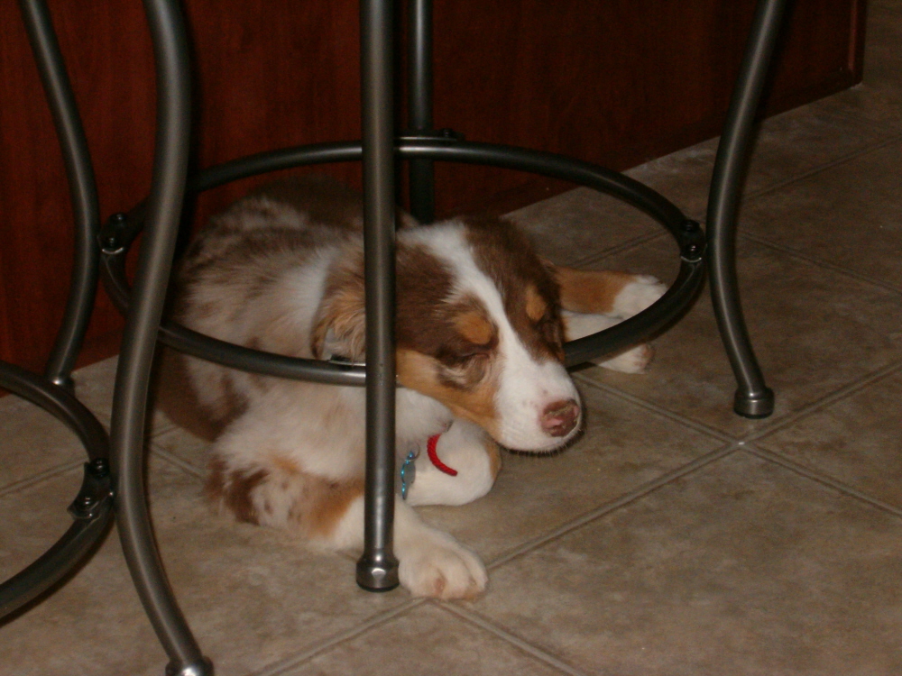 Sleeping