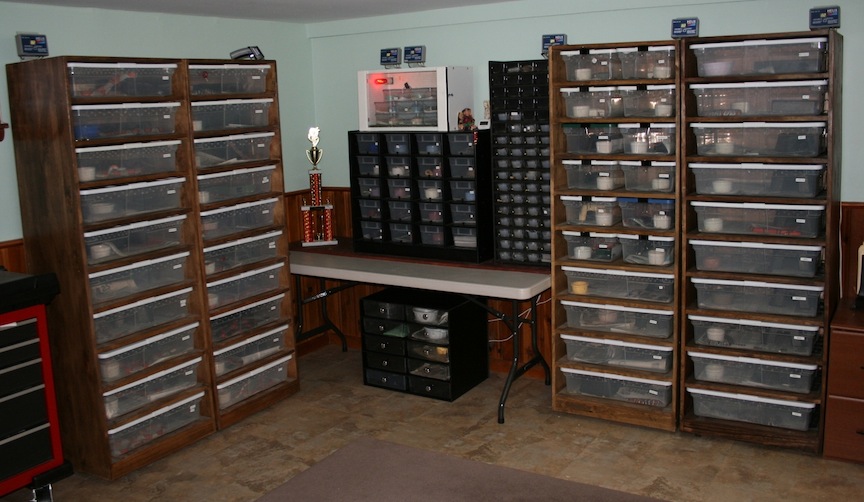 Part of my herp room