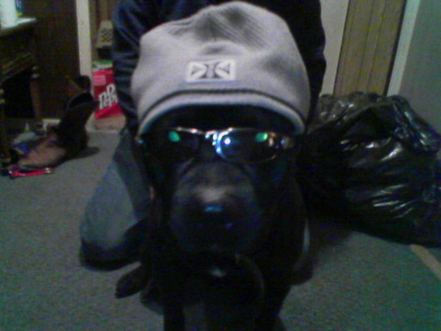 cool zues