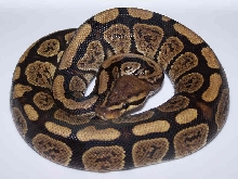 05MGranite(2)