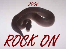 ROCK ON in 06