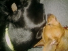 Nap Time!!