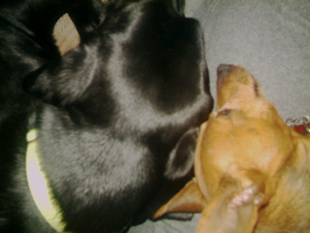 Nap Time!!