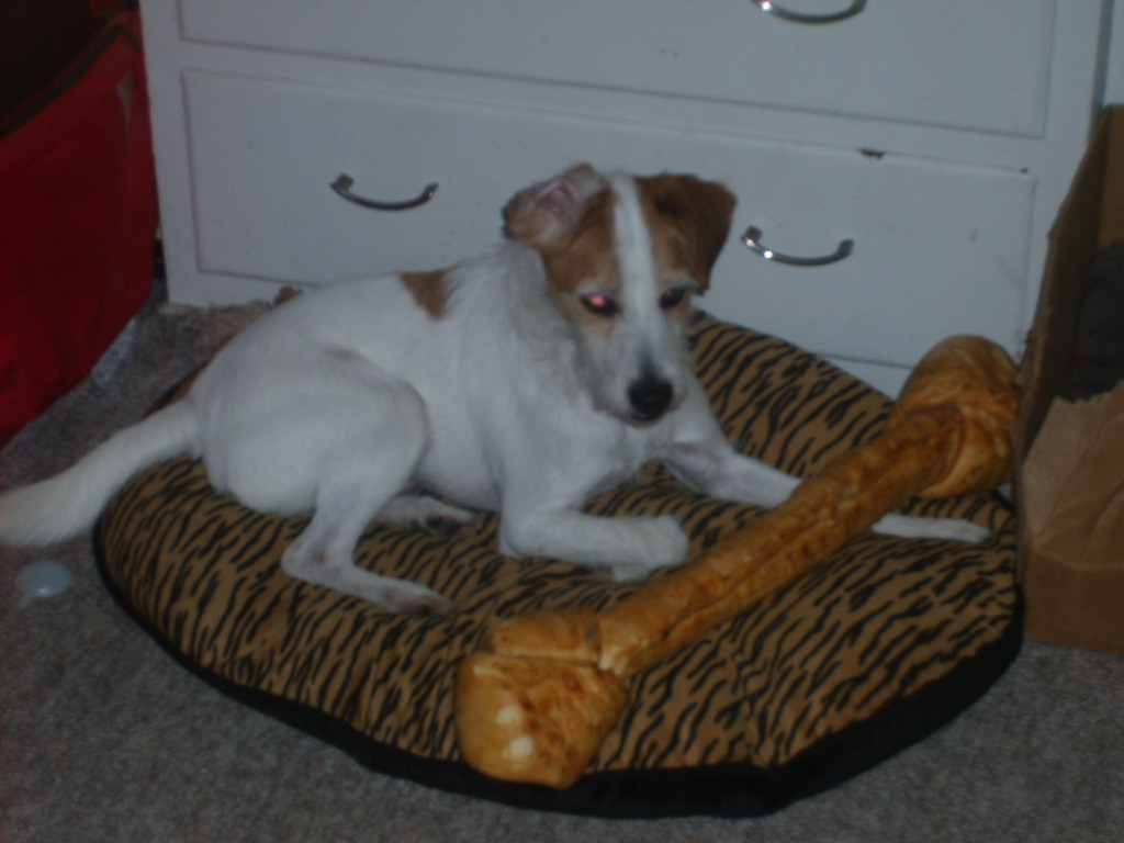 MY BONE!!!!