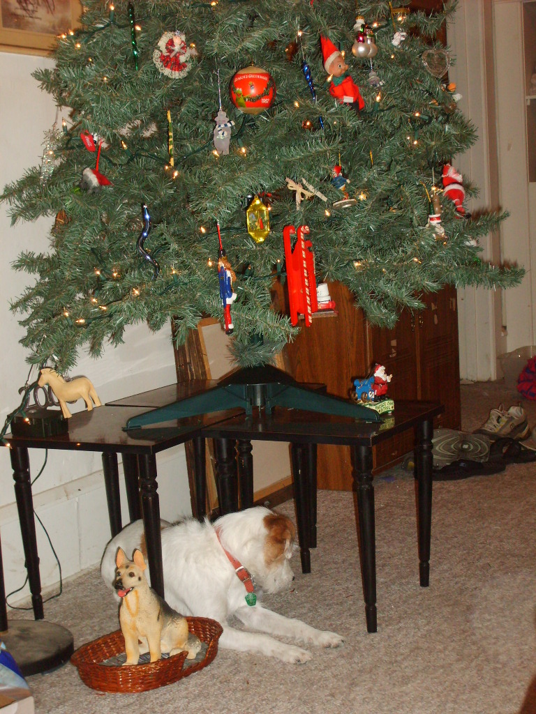 mushu's tree