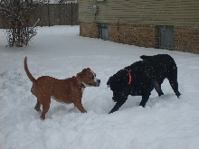 2nd snow