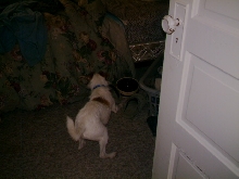 Mushu actully being Scared!!