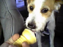 Mushu Ice Cream