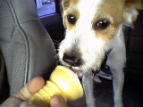 Mushu Ice Cream