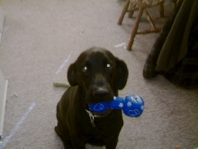 Mom letting me play a bit