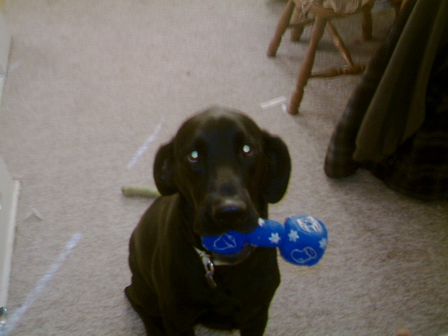 Mom letting me play a bit