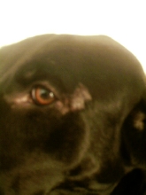 My eye