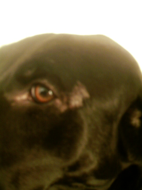 My eye