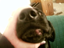 My Lip